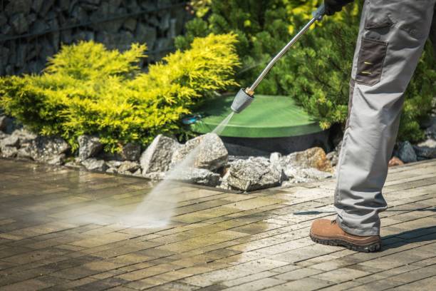 Best Building Exterior Washing  in Alamo, CA