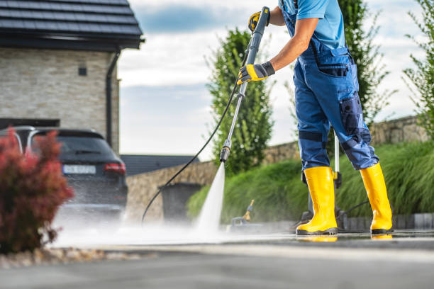 Best Gutter Cleaning  in Alamo, CA